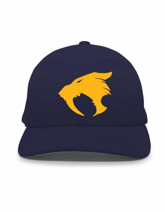 Sabertooth - Performance Cap - (Black or Black)