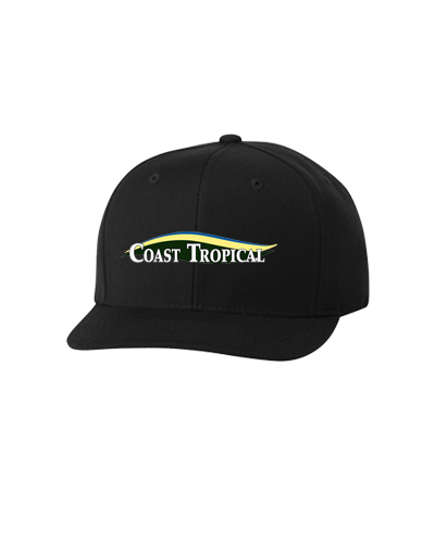 Coast Tropical - Embroidered Snapback
