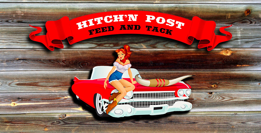 Hitch N' Post - Business Card